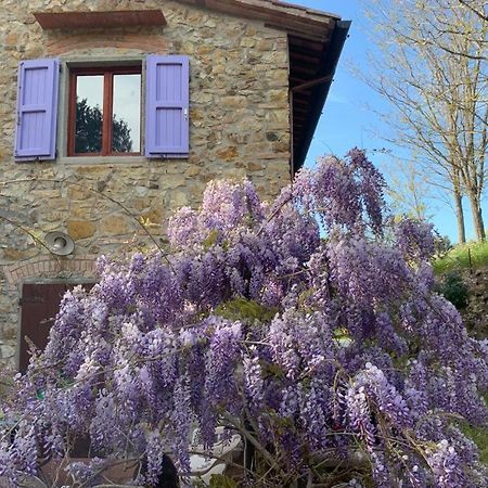 Antico Casale Il Fiorentino Montenero  エクステリア 写真