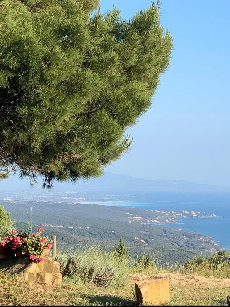 Antico Casale Il Fiorentino Montenero  エクステリア 写真